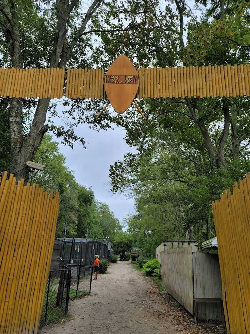 Planning Your Visit: Hours, Location, and Practical Tips