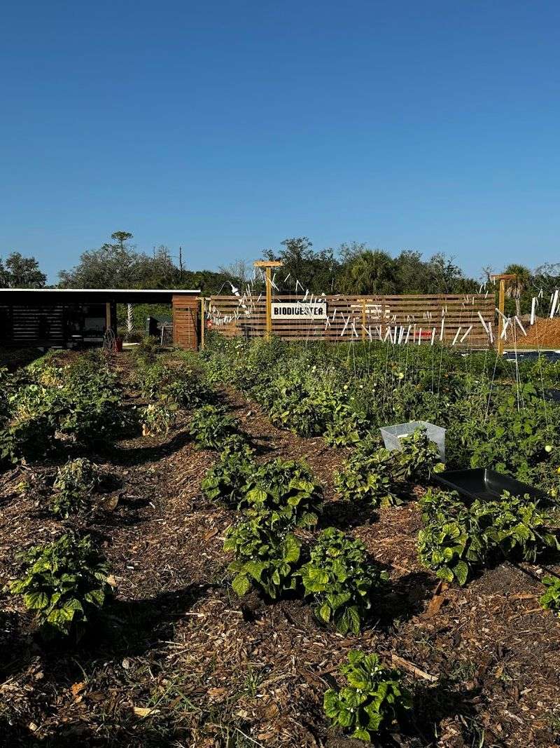 The Farm Tour Experience That Adds a Whole Other Layer