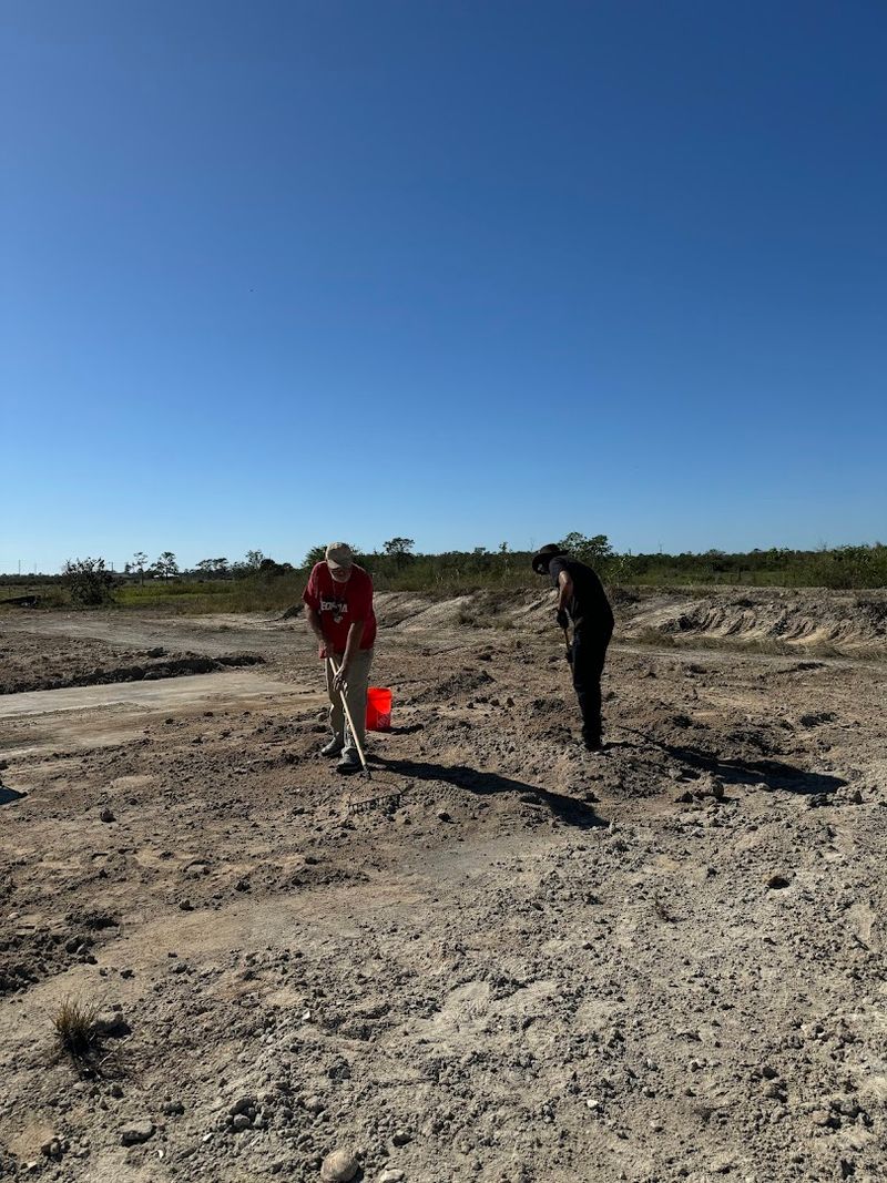 Plan Your Visit Like a Pro