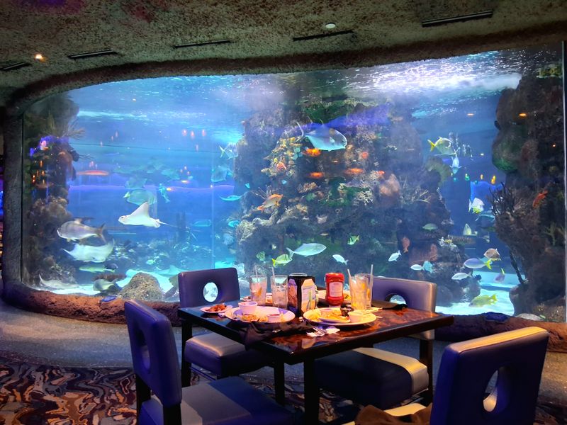 What Makes Aquarium Restaurant So Unique