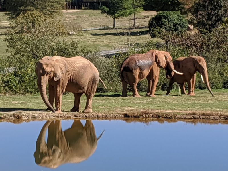Asheboro's North Carolina Zoo