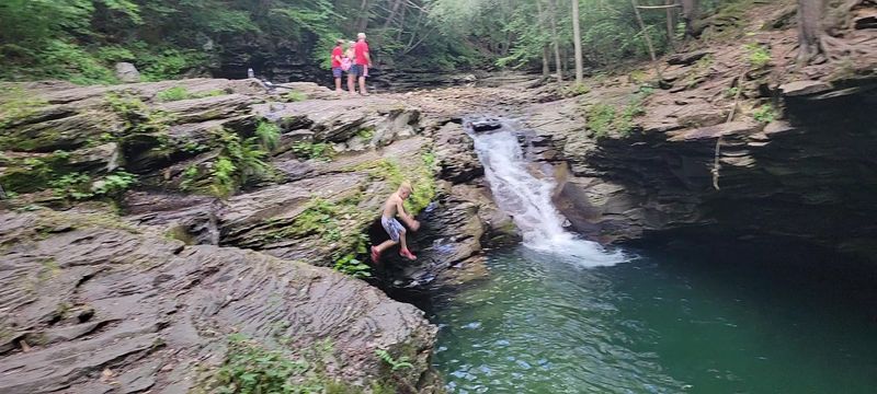 A Family Friendly Day At The Creek