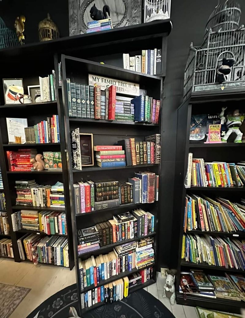 The Black Squirrel Bookstore & Speakeasy