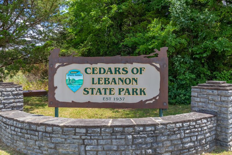 Why Cedars of Lebanon State Park Is Worth Visiting Year-Round
