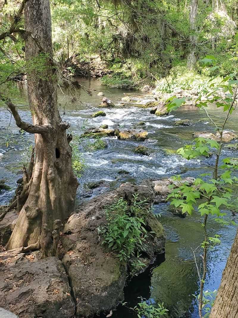 Just 30 Minutes From Tampa, One of Florida’s Most Underrated Parks Is Hiding in Plain Sight