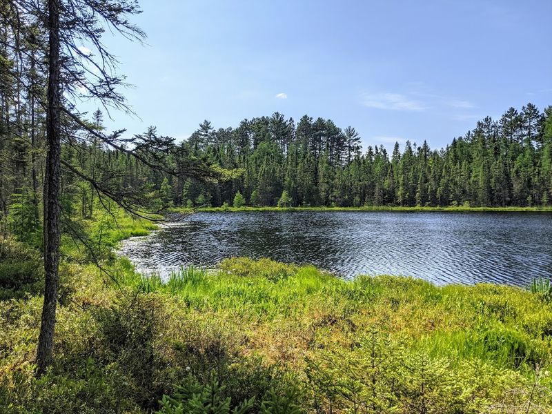 Savanna Portage State Park (McGregor)
