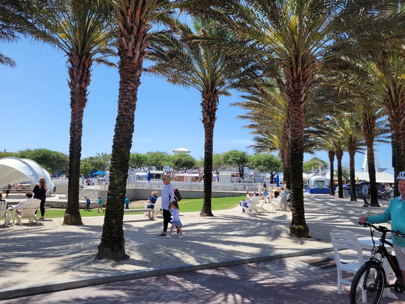 Central Square Hosts Constant Activity Now