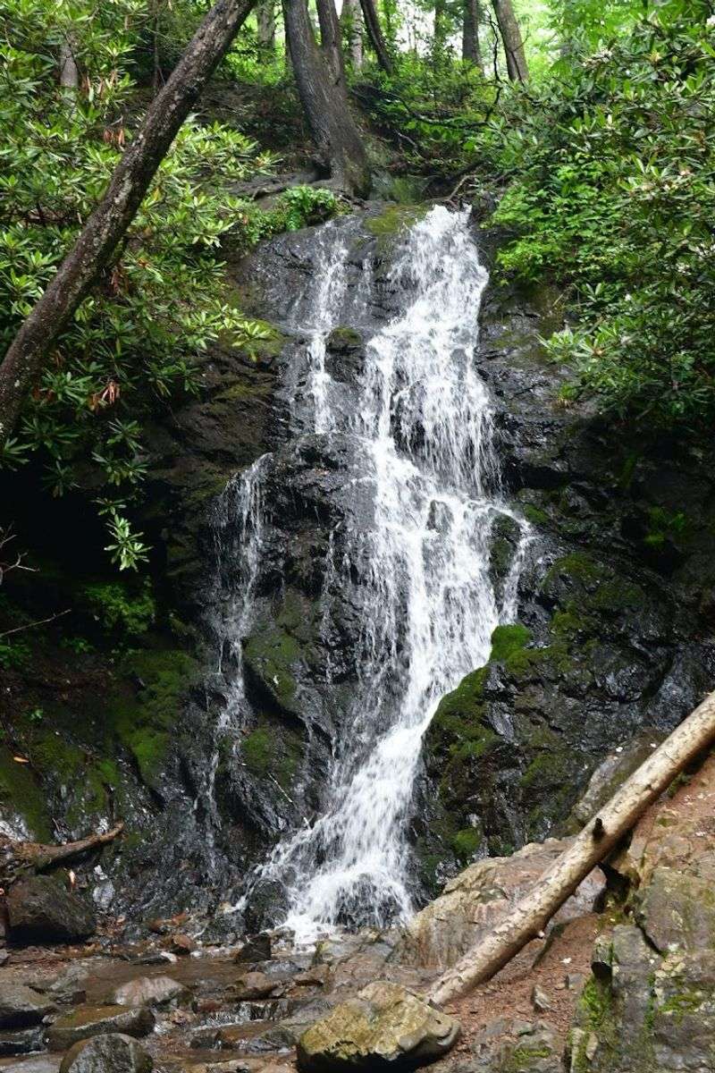 Cataract Falls Trail — Gatlinburg