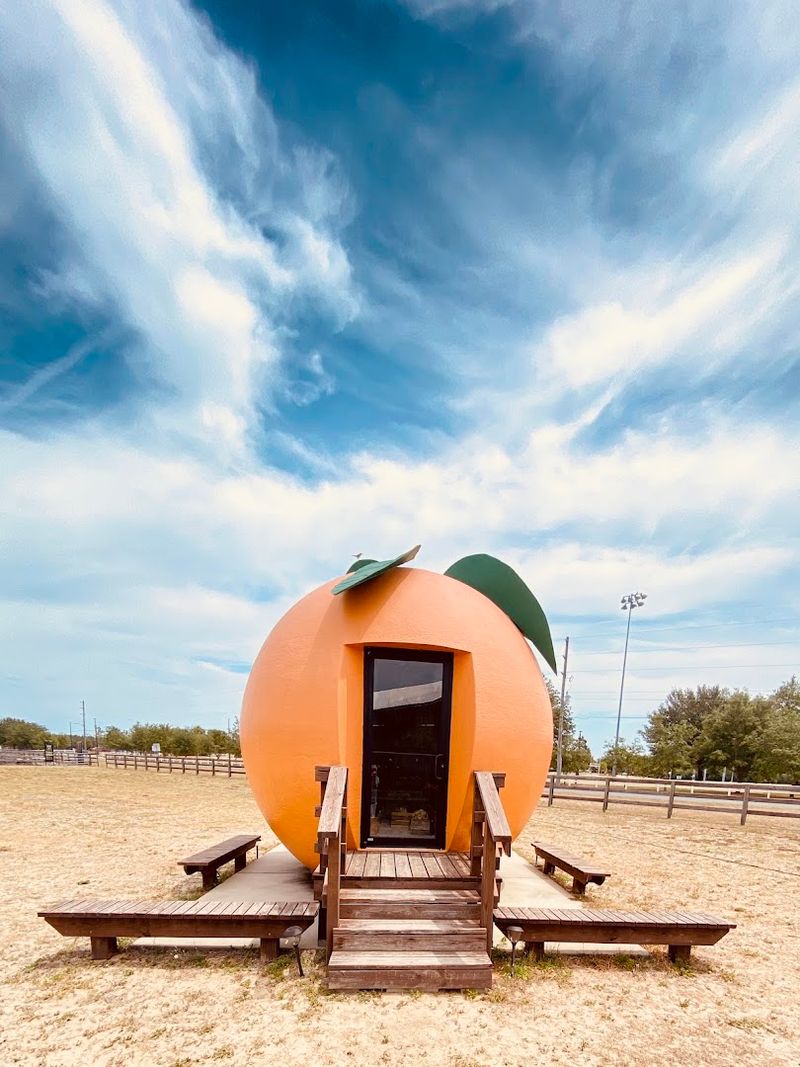 The Big Orange at Sunsational Farms (Umatilla)