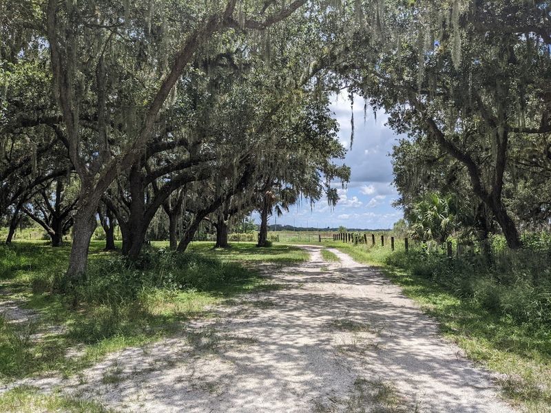 Old Florida Atmosphere You Can't Find Elsewhere
