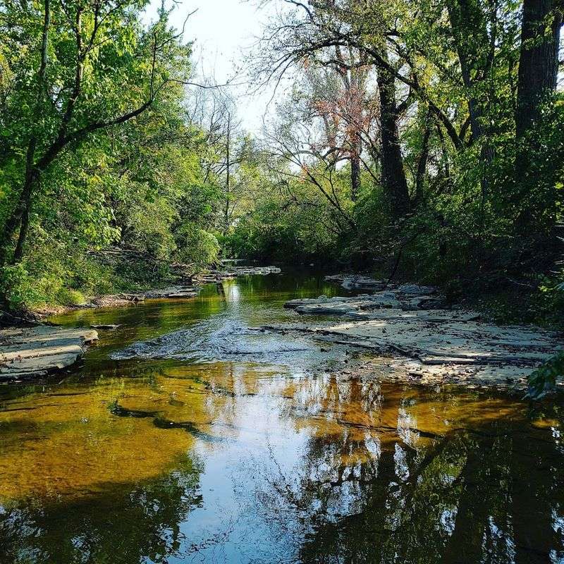 What Families, Casual Walkers, and Nature Lovers Will Enjoy Most Here