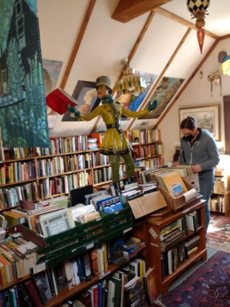 Staff Warmth, A Friendly Cat, and Reader Community