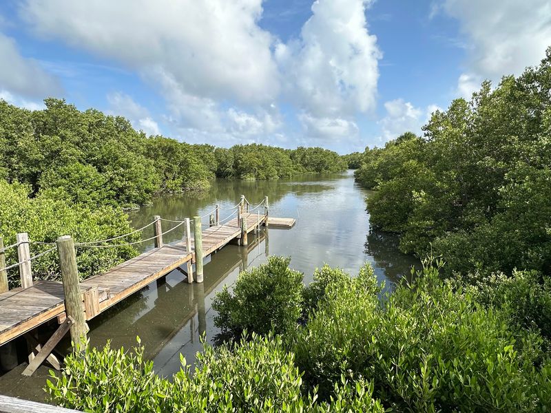 Grab A Table Outside And Let The Bayou Do The Entertaining