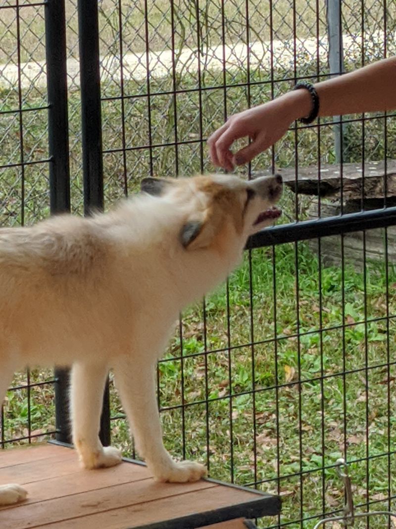 Education and Conservation Mission