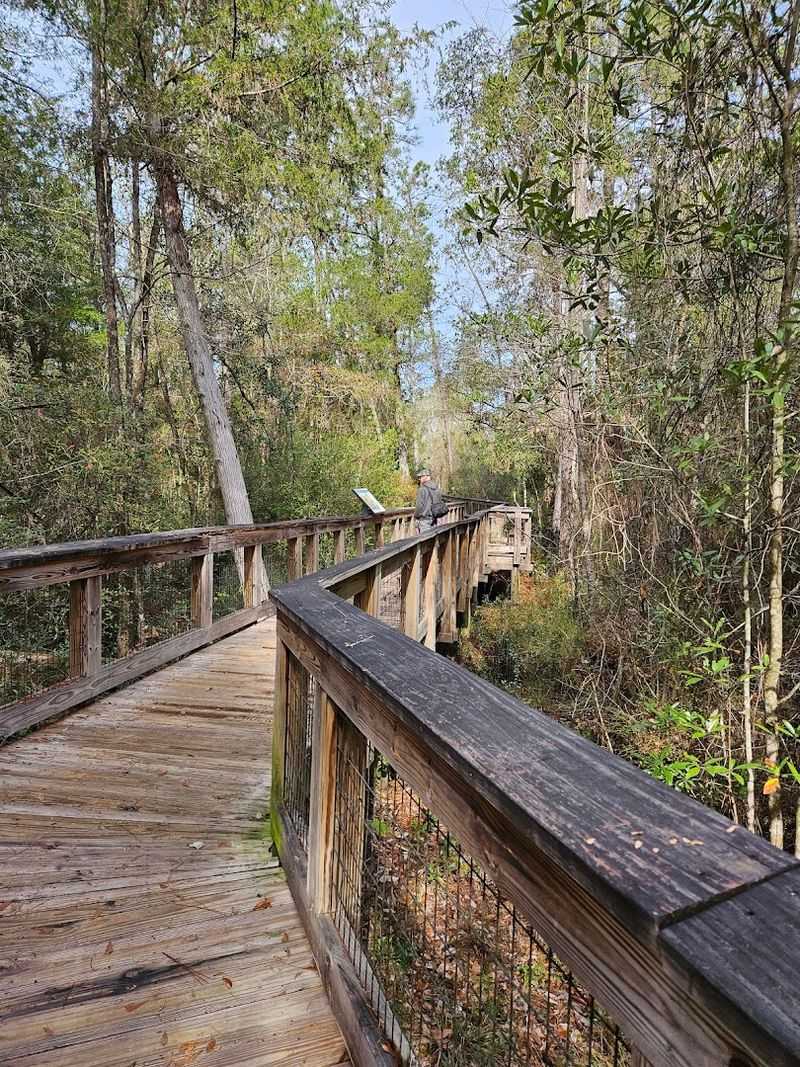 Boardwalk Trails Through Living History