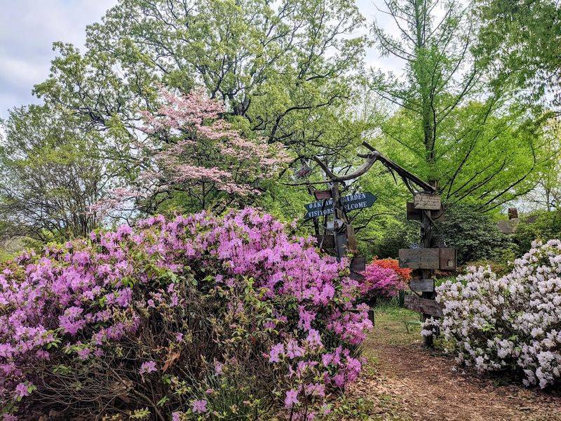 The Tennessee Garden That Knows How to Do Spring Right