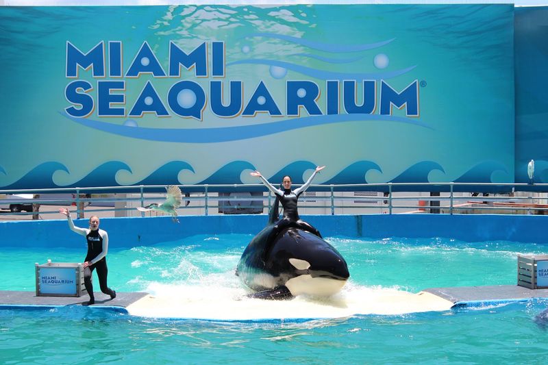 Miami Seaquarium – Miami