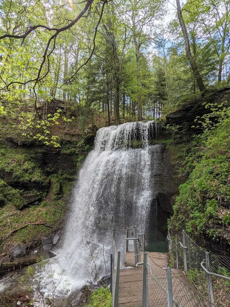 Buttermilk Falls (New Florence)
