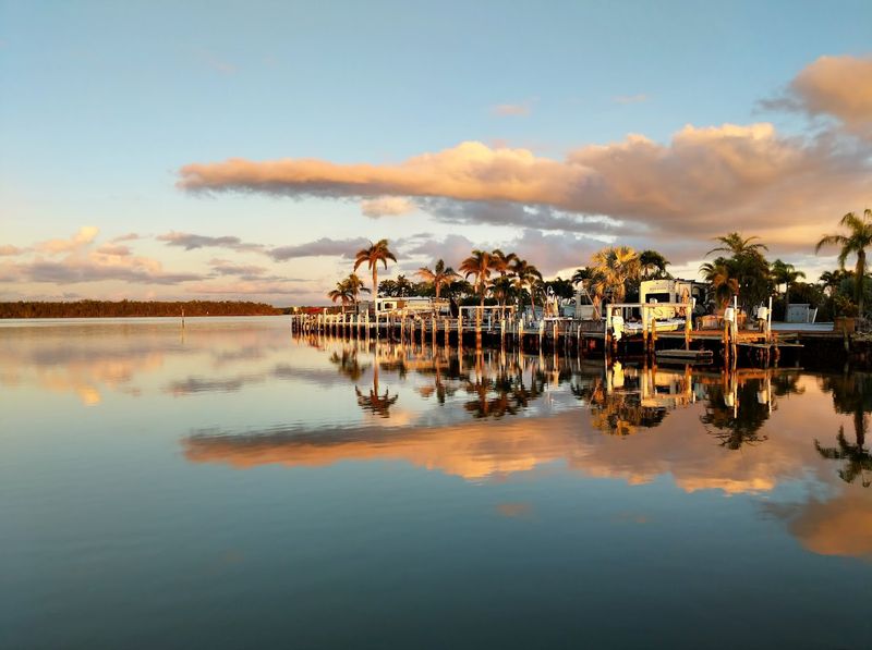 Sunset Views Over Endless Mangroves