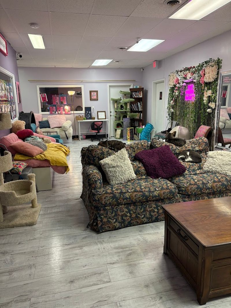 A Cozy Stop For Coffee, Snacks, And Feel-Good Moments