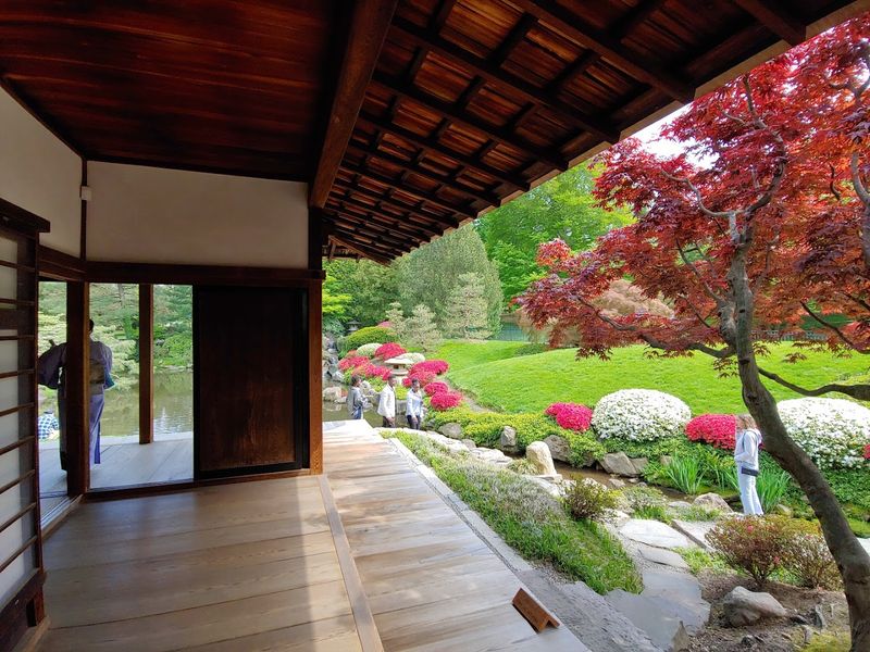 Etiquette, Socks, and Mindful Pace