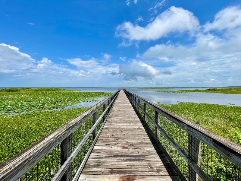 Multiple Trail Systems Increase Sighting Chances