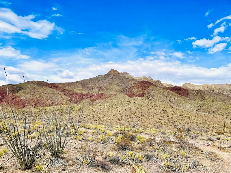 El Paso (Border City Fusion)