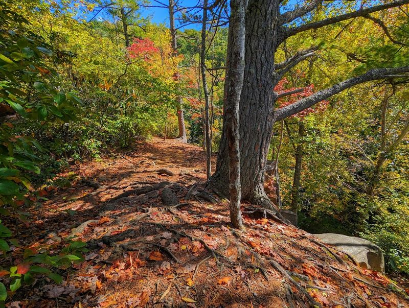 Hiking Trails and Outdoor Adventures Nearby