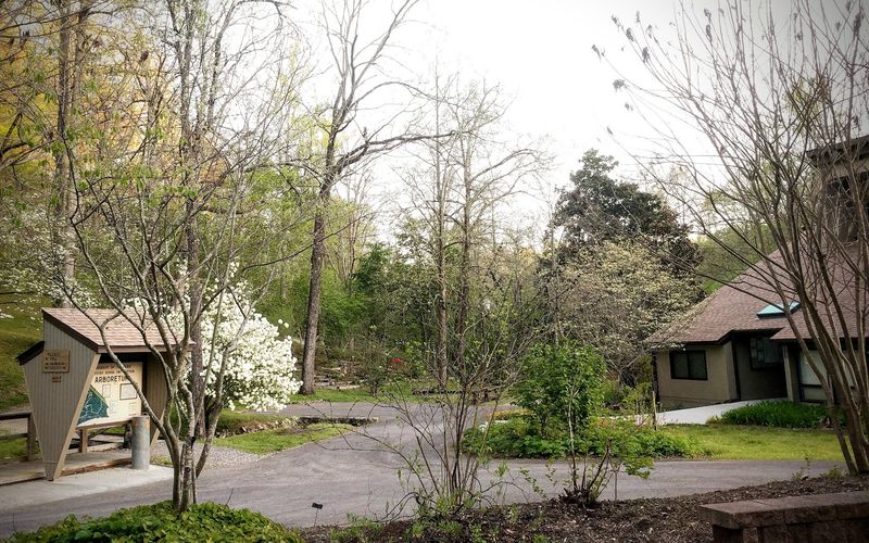 Why the University of Tennessee Arboretum Feels Like Such a Hidden Gem