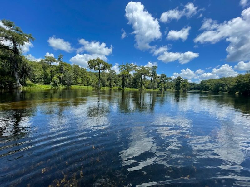 Wakulla Springs River Boat Tour
