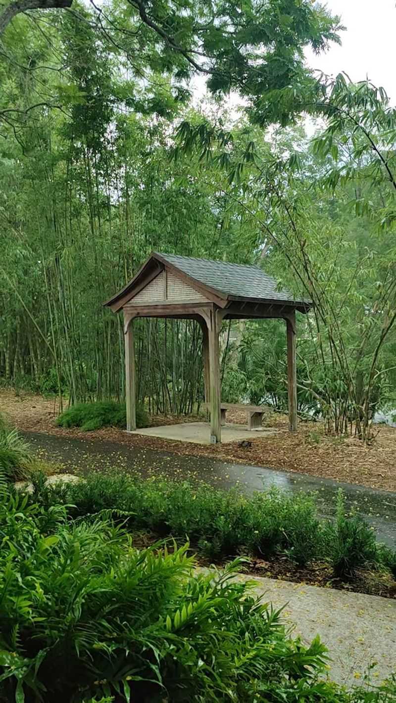 Perfect Spot for Yoga, Meditation, and Grounding