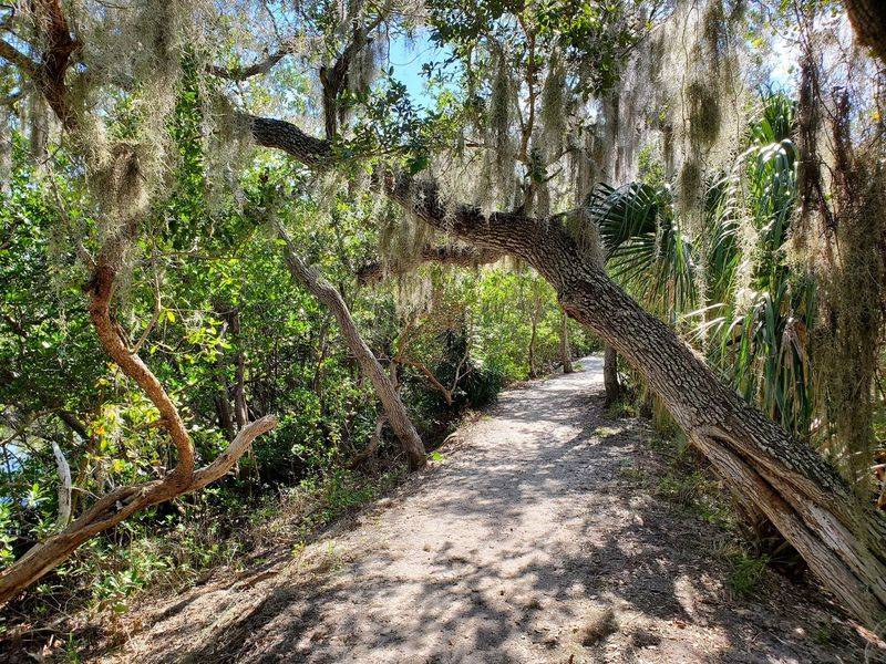 Terra Ceia Trail Follows the Footsteps of Ancient Travelers