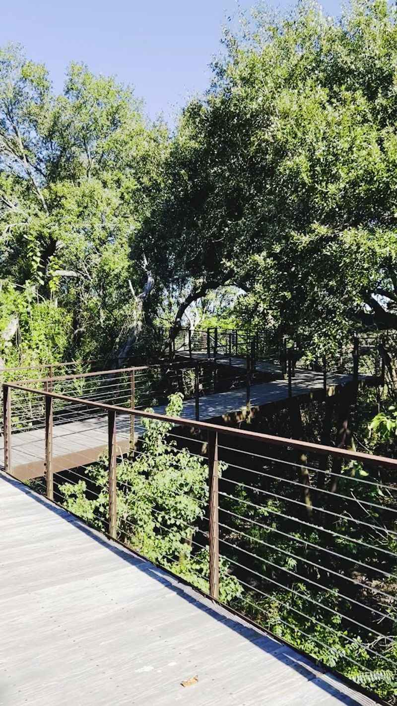 Covered Viewing Platforms for Extended Observation