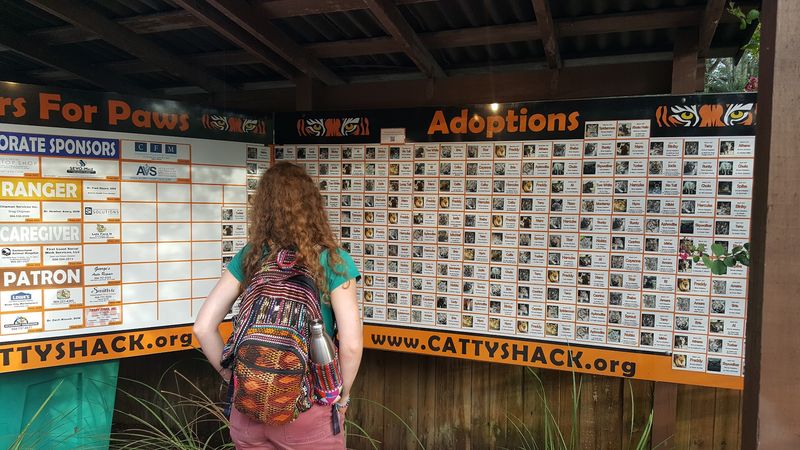 Ways to Support the Sanctuary Beyond Your Visit