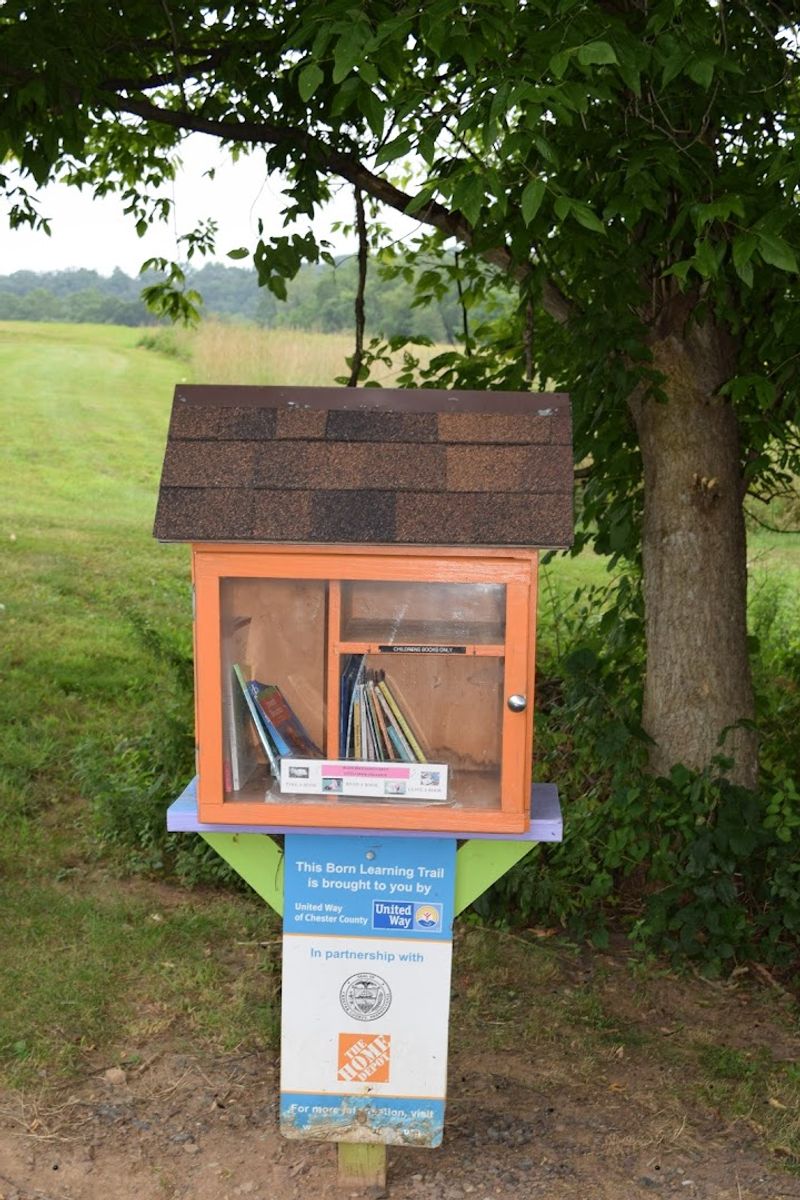 Family Friendly Fun and Learning