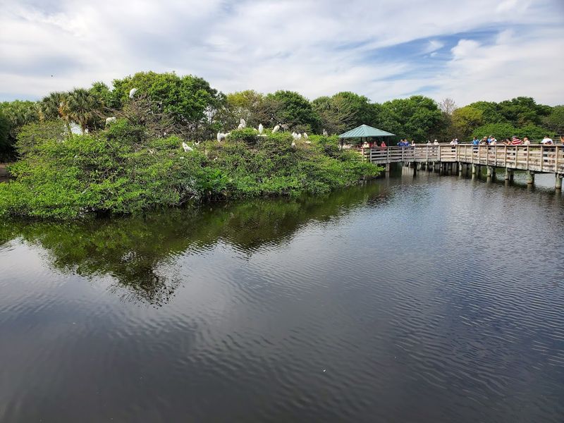 Best Times, Hours, And How To Plan