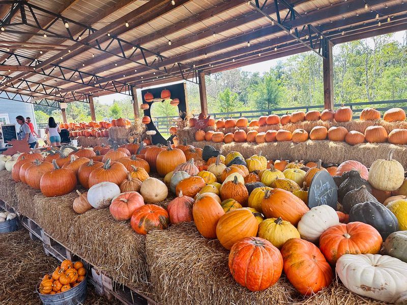 Amber Brooke Farms (Eustis)