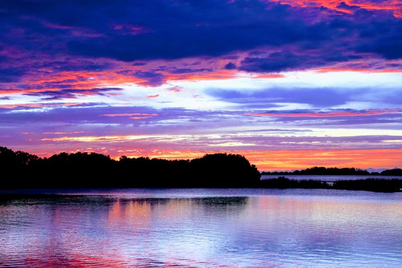 Kayaking the Suwannee Sound: Paddling Through Liquid Wilderness