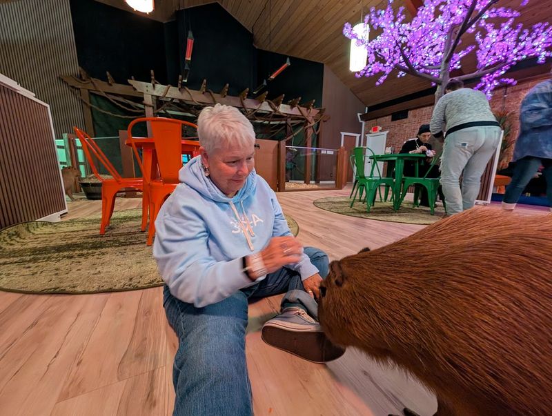 Meeting the Capybaras: The Star Attraction You Won't Forget