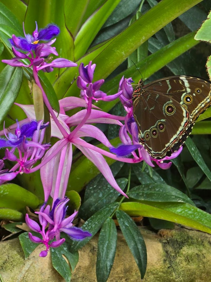 When To Go and How Long To Stay