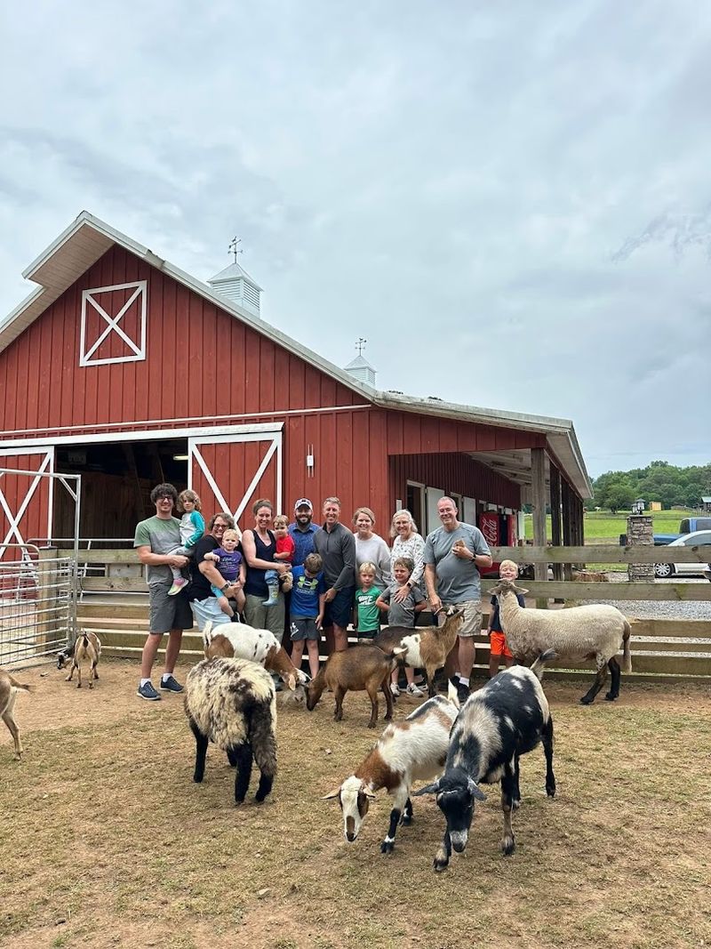 The Sloth Encounters Are Every Bit as Dreamy as They Sound