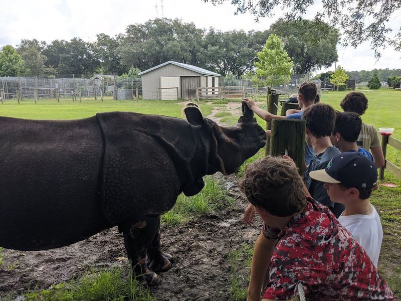 Golf Cart Tours for Maximum Comfort