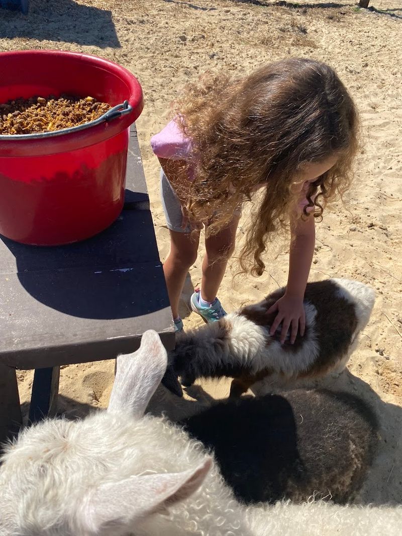 Birthday Parties And Special Events