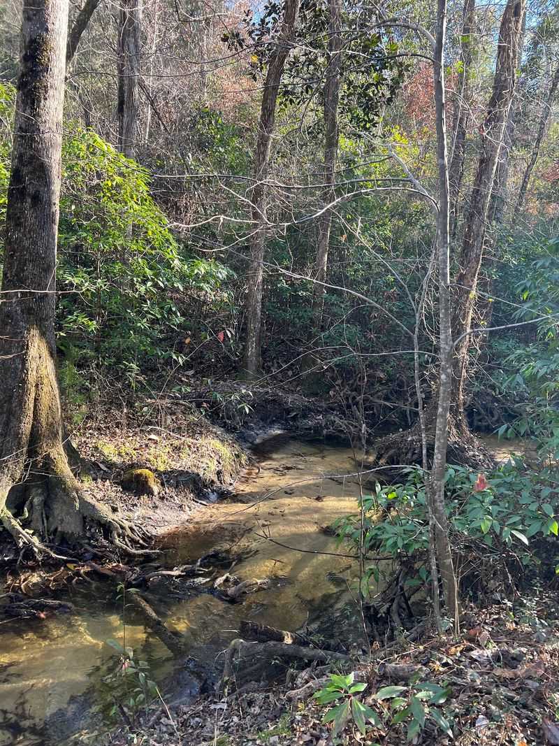 Garden of Eden Trail (Bristol)