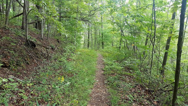 Where Big Frog Wilderness Hides in the Mountains