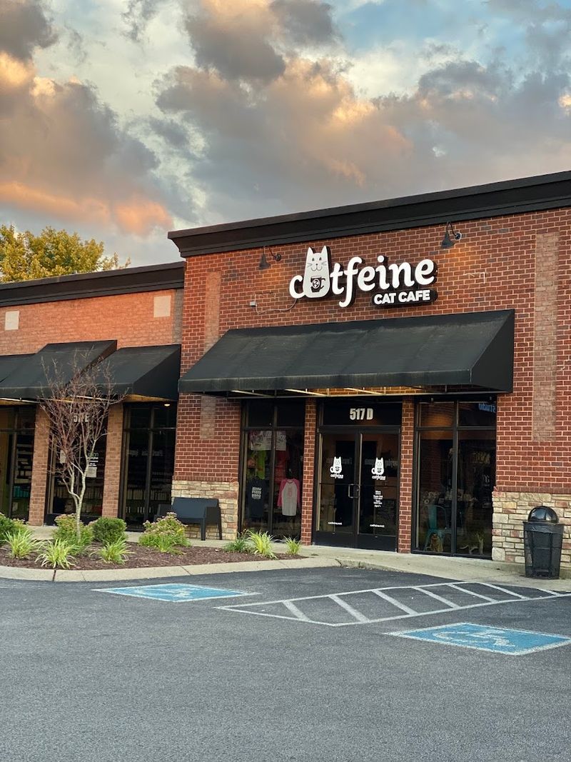 What To Know Before Planning A Visit To Catfeine Cat Cafe