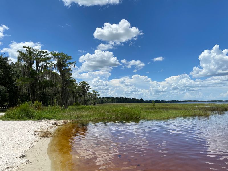 Lake Louisa State Park: Rolling Hills in Florida?