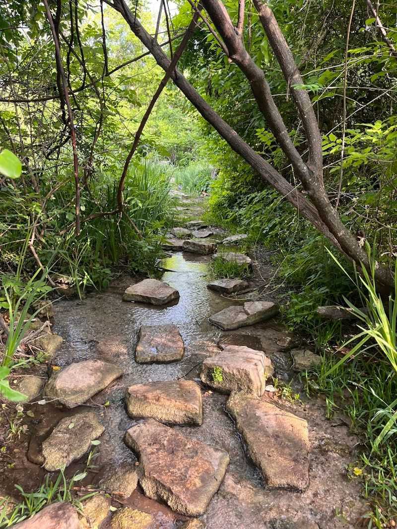 Trail Maintenance and Condition Variability