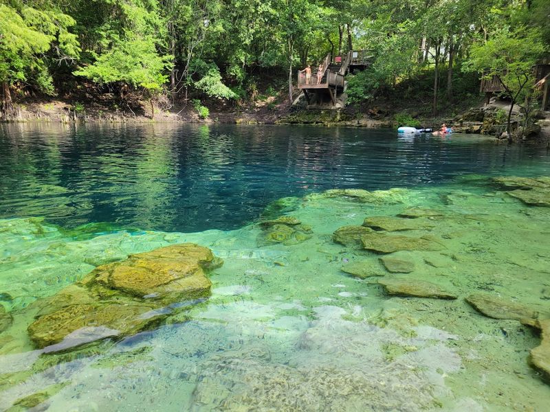 Royal Springs — O'Brien / Live Oak Area