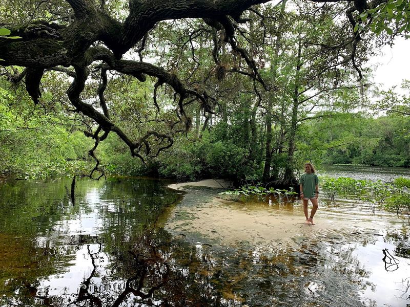 Primitive Camping by the Creek
